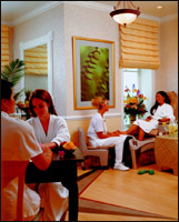 Современный московский рынок Spa-услуг